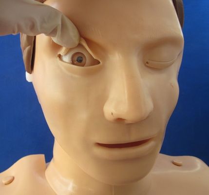 Entrenamiento en RCP con busto electrónico Maniquí Demonstración de atención al paciente con PVC avanzado