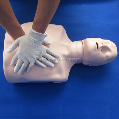Maniquí de entrenamiento de RCP de medio cuerpo La adición perfecta a su enseñanza de habilidades de emergencia