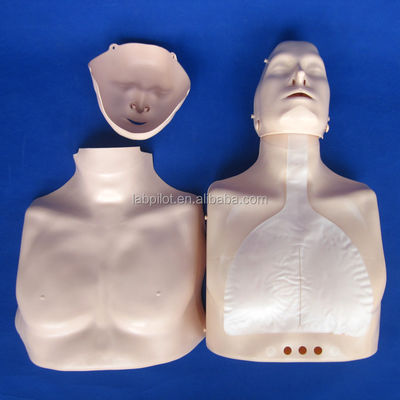 Maniquí de entrenamiento de RCP de medio cuerpo La adición perfecta a su enseñanza de habilidades de emergencia