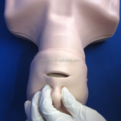 Maniquí de entrenamiento de RCP de medio cuerpo La adición perfecta a su enseñanza de habilidades de emergencia