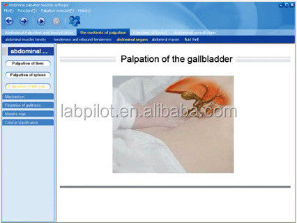 Red de enseñanza y software Modelo de formación médica para la medición de la presión arterial