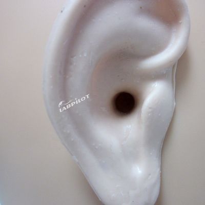 Modelo de oreja viva de tamaño humano La herramienta definitiva para el simulador de entrenamiento de riego de orejas