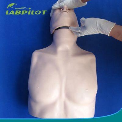 Formación de primeros auxilios de tipo sencillo de resuscitación cardiopulmonar de medio cuerpo maniquí para instalación de capacitación escolar