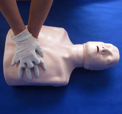 Formación de primeros auxilios de tipo sencillo de resuscitación cardiopulmonar de medio cuerpo maniquí para instalación de capacitación escolar
