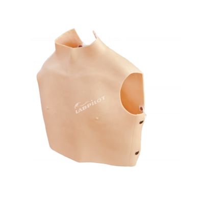 Simulador de auscultación cardiopulmonar con PVC avanzado