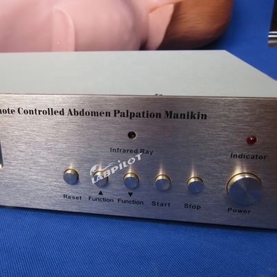 Simulador de palpación abdominal para educación de enfermería y simulación humana realista