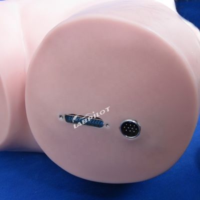 Simulador de palpación abdominal para educación de enfermería y simulación humana realista