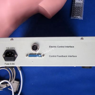 Simulador de palpación abdominal para educación de enfermería y simulación humana realista