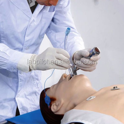 Sistema de gestión de las vías respiratorias ACLS Formación en habilidades de primeros auxilios Maniquí Dumb Trainer Trainer