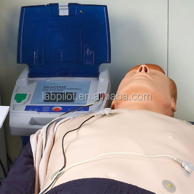 Sistema de gestión de las vías respiratorias ACLS Formación en habilidades de primeros auxilios Maniquí Dumb Trainer Trainer