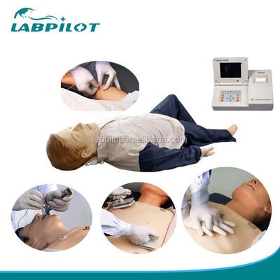 Sistema de gestión de las vías respiratorias ACLS Formación en habilidades de primeros auxilios Maniquí Dumb Trainer Trainer
