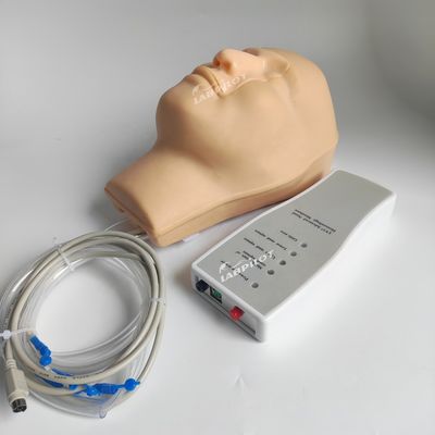 Modelo vivo de hemorragia nasal para pacientes