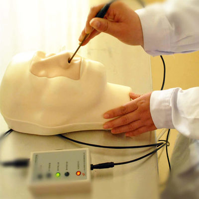 Modelo vivo de hemorragia nasal para pacientes