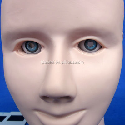 Maniquí para el examen avanzado del ojo humano simulador de entrenamiento de retinopatía modelo de fondo
