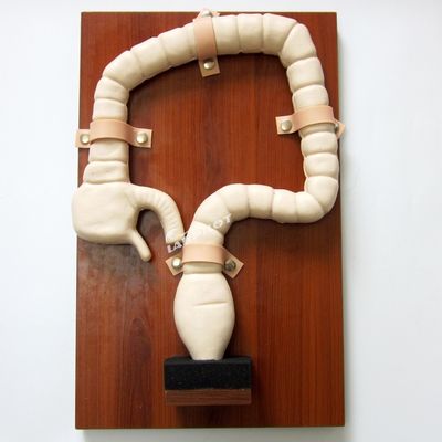 Modelo de anatomía del recto y el colon PVC avanzado Simulador de endoscopia intestinal de tamaño de vida humana