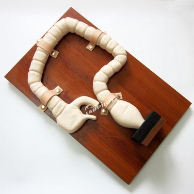 Modelo de anatomía del recto y el colon PVC avanzado Simulador de endoscopia intestinal de tamaño de vida humana