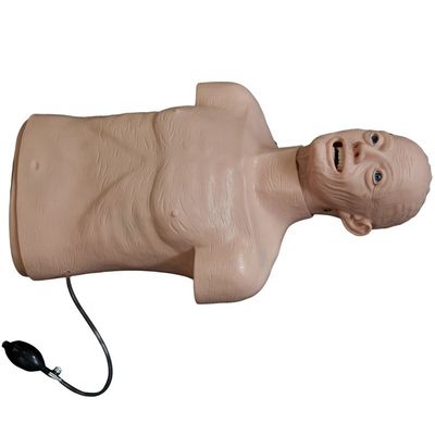 El maniquí de PVC avanzado es la mejor opción para la reanimación de ancianos y el entrenamiento en intubación