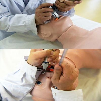 El maniquí de PVC avanzado es la mejor opción para la reanimación de ancianos y el entrenamiento en intubación