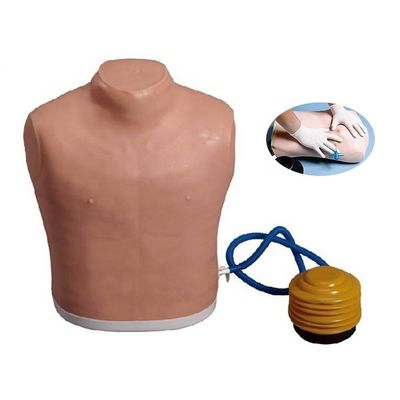 Ciencias Médicas maniquí de tubo de pecho para la depresión del neumotórax