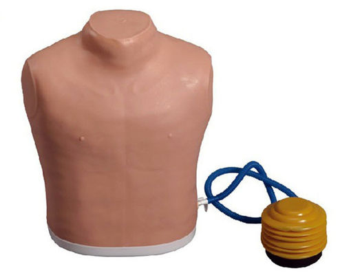 Ciencias Médicas maniquí de tubo de pecho para la depresión del neumotórax