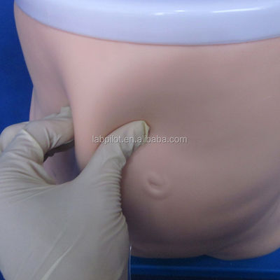 Modelo de enseñanza de diálisis peritoneal Instrumento de capacitación y rendimiento de enfermería clínica