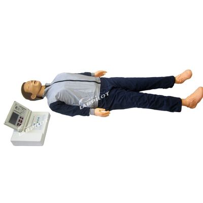 Maniquí humano realista modelo de enseñanza de reanimación de LCD grande para la capacitación de RCP de adultos