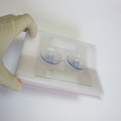 Herramienta de formación médica Modulo de sutura cutánea simulada para incisiones musculares quirúrgicas
