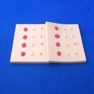 Enfermedad de la piel patológica vívida Modelo de lesiones para la enseñanza médica Pad de sutura