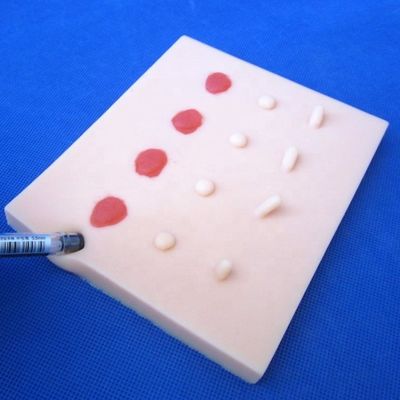 Enfermedad de la piel patológica vívida Modelo de lesiones para la enseñanza médica Pad de sutura