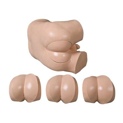 Modelo de habilidades clínicas para el examen del tacto rectal