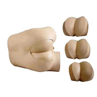Modelo de habilidades clínicas para el examen del tacto rectal