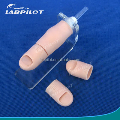 Entrenador de uñas de los pies en crecimiento El modelo definitivo para el entrenamiento y la práctica de extracción de uñas