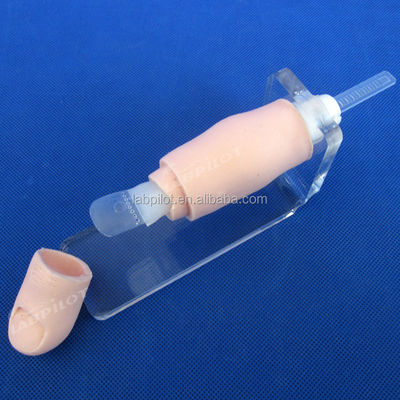 Entrenador de uñas de los pies en crecimiento El modelo definitivo para el entrenamiento y la práctica de extracción de uñas