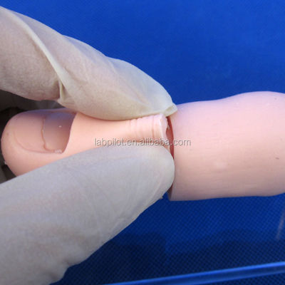 Entrenador de uñas de los pies en crecimiento El modelo definitivo para el entrenamiento y la práctica de extracción de uñas
