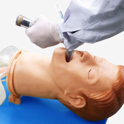 Modelo de entrenamiento de intubación endotraqueal multifuncional para el manejo de las vías respiratorias