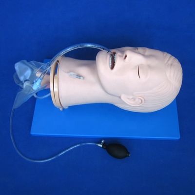 Modelo de entrenamiento de intubación endotraqueal multifuncional para el manejo de las vías respiratorias