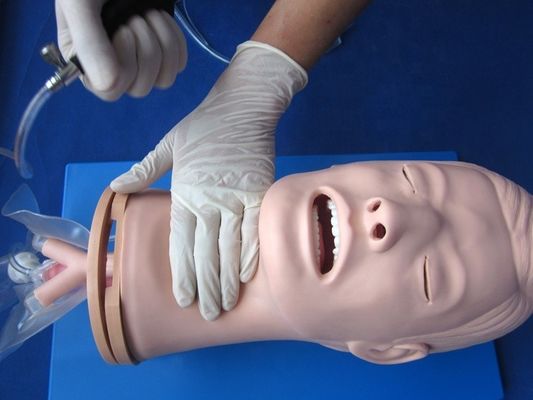 Modelo de entrenamiento de intubación endotraqueal multifuncional para el manejo de las vías respiratorias