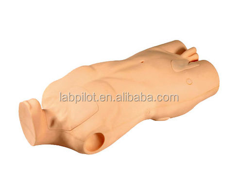 Modelo avanzado del torso de PVC para el desarrollo de habilidades de inyección y punción venosa central