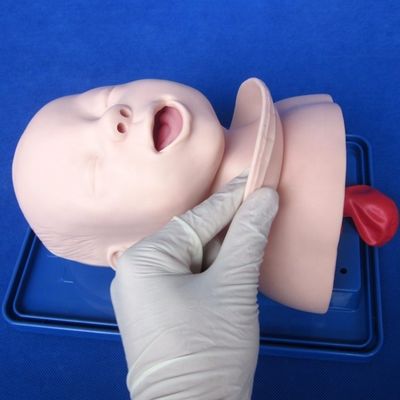 Maniquí pediátrico económico para el modelo de cabeza del bebé vivo y el entrenamiento de intubación infantil