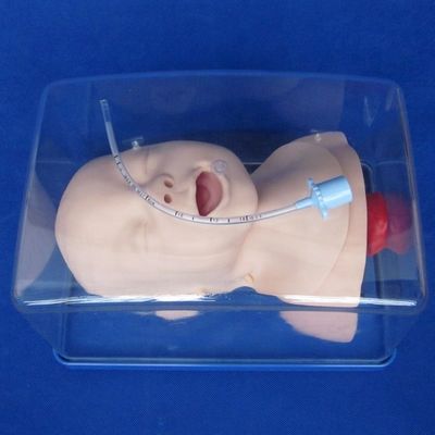 Maniquí pediátrico económico para el modelo de cabeza del bebé vivo y el entrenamiento de intubación infantil