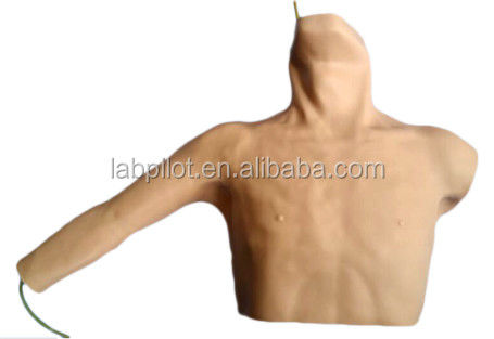 Simulador avanzado de PICC y modelo de enseñanza de punción venosa periférica para el tamaño humano