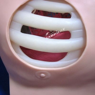 Maniquí de PVC avanzado para entrenamiento de enfermería de drenaje de punción pleural y toracentesis