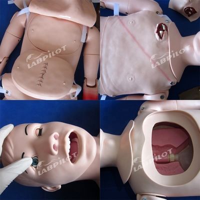 Maniquí de enfermería integral para el cuidado de traumas y tratamiento de heridas en tamaño de vida humana