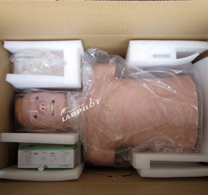 Maniquí de tamaño humano profesional para adultos RCP y entrenamiento de incubación