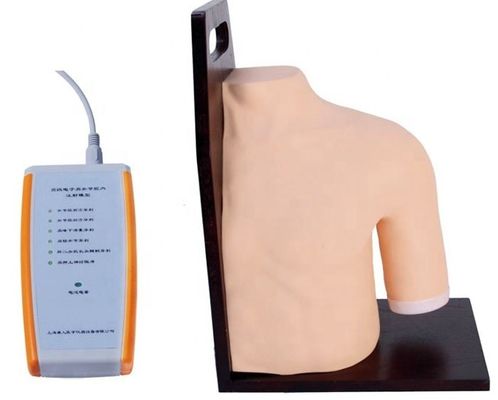 Formación médica avanzada en PVC Modelo de enseñanza de simulador de inyección intracavitaria de la articulación del hombro