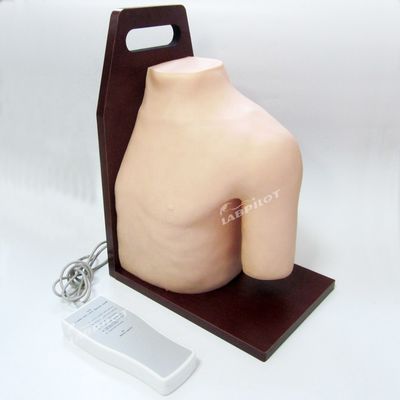 Formación médica avanzada en PVC Modelo de enseñanza de simulador de inyección intracavitaria de la articulación del hombro