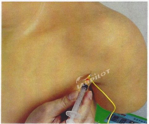 Formación médica avanzada en PVC Modelo de enseñanza de simulador de inyección intracavitaria de la articulación del hombro