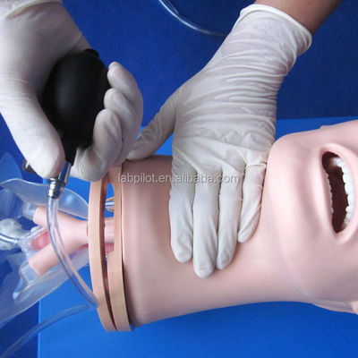 Modelo avanzado de gestión de las vías respiratorias de PVC para la formación en intubación y succión en la atención médica