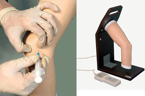Simulador avanzado de entrenamiento de inyección intraarticular de articulaciones de PVC para el modelo del codo humano