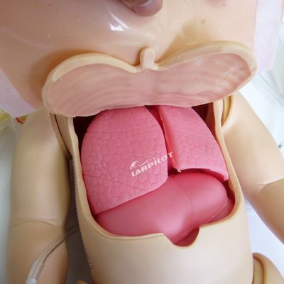 Maniquí de PVC avanzado para RCP pediátrico y simulación de enfermería infantil de funcionamiento completo